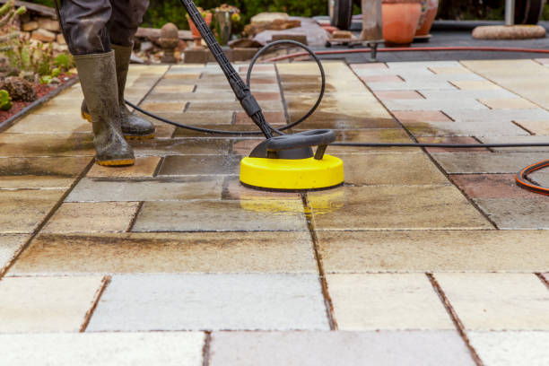 Trusted Paloma Creek South, TX Pressure Washing Services Experts