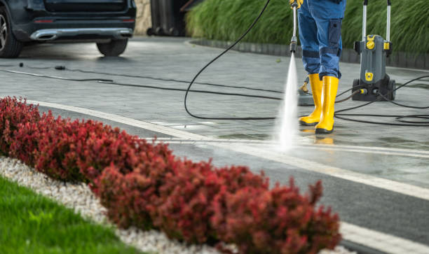 Best Parking Lot Cleaning in Paloma Creek South, TX